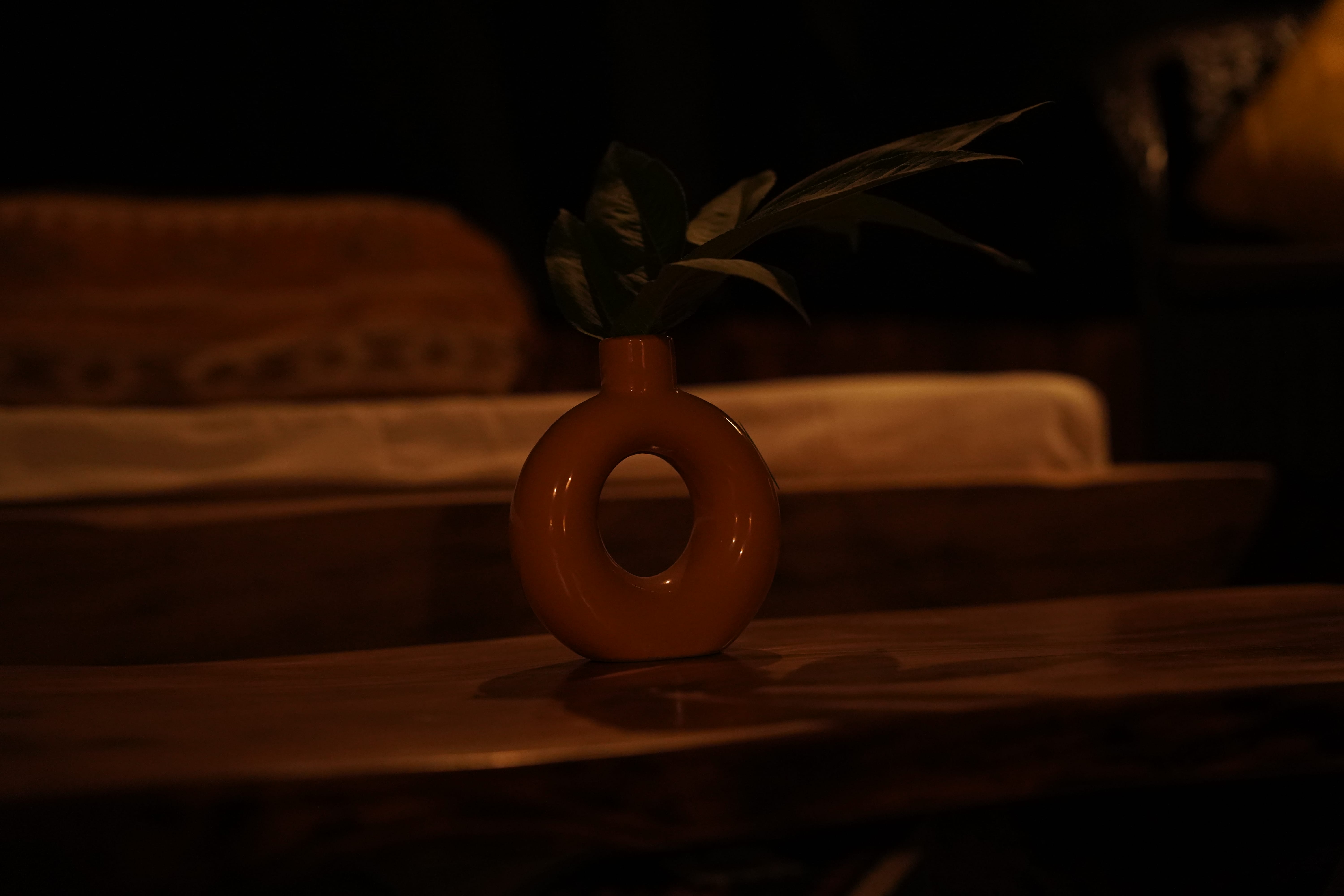 Terracotta circular vase with greenery on wooden surface